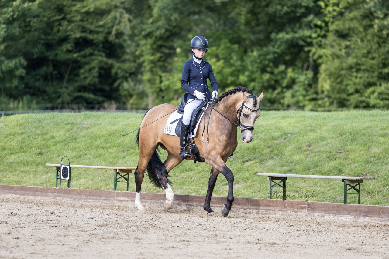 Bild 484 - Pony Akademie Turnier